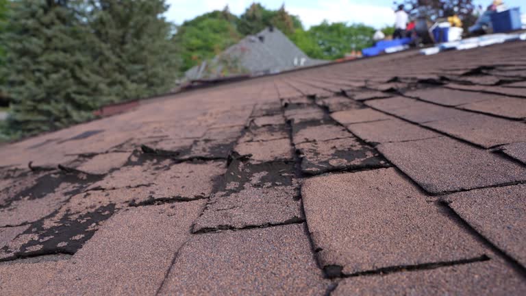 Best Roof Ventilation Installation  in Appalachia, VA